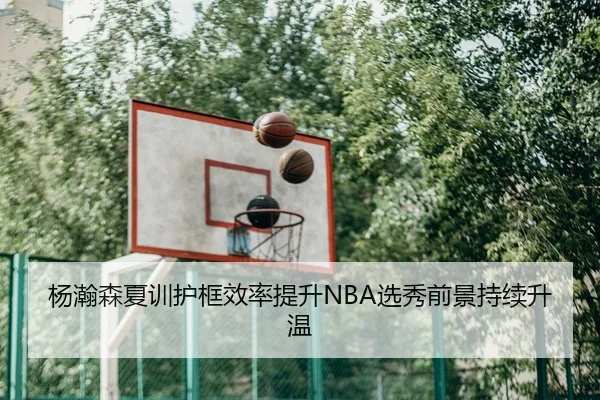 杨瀚森夏训护框效率提升NBA选秀前景持续升温