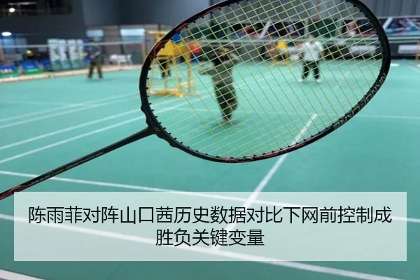 陈雨菲对阵山口茜历史数据对比下网前控制成胜负关键变量