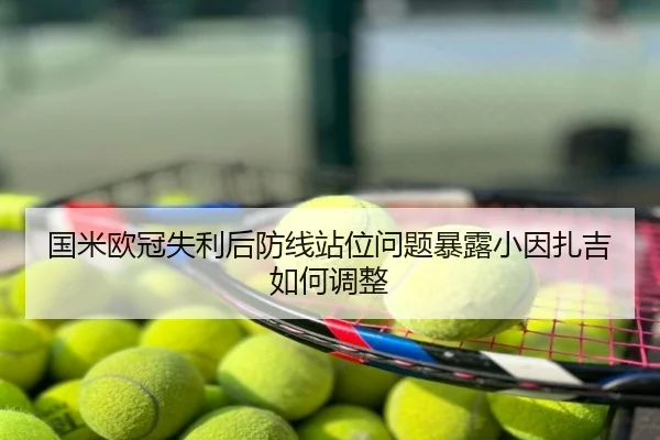 国米欧冠失利后防线站位问题暴露小因扎吉如何调整